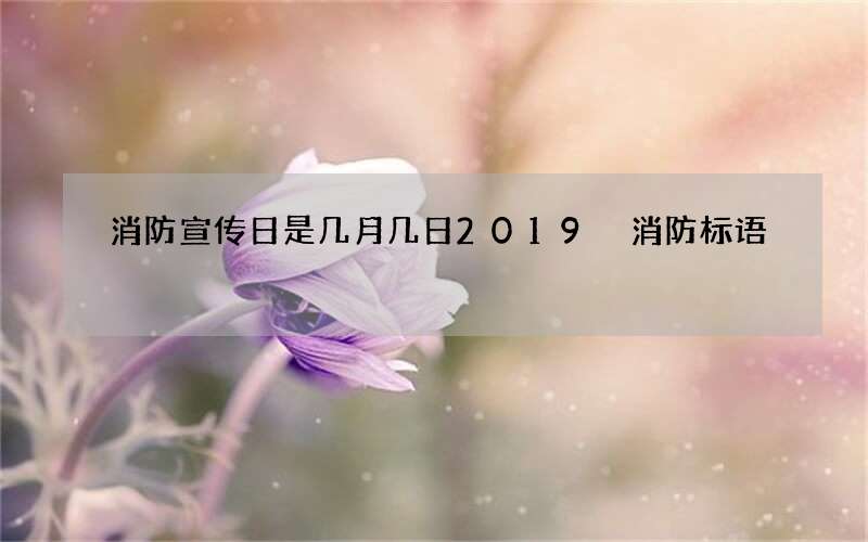 消防宣传日是几月几日2019 消防标语